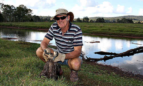 David Williams at the Bells Bridge property where about 40 birds were found dead, believed to be poisoned. David Williams at the Bells Bridge property where about 40 birds were found dead, believed to be poisoned.